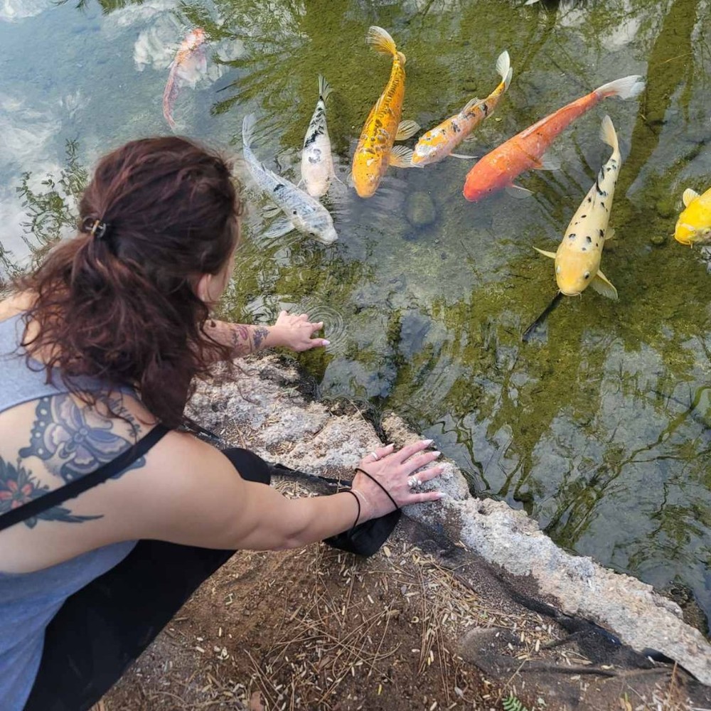 Meet your Posher, Posh